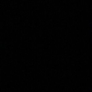 Meet your Posher, Noah